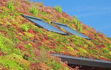 Allerthorpe living roof systems