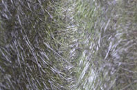 Allerthorpe fibreglass roof work